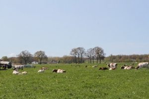 Waarom windmolens?