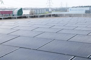 Zonnepark Ecofactorij: prachtig jaar smaakt naar meer