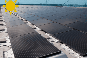 Goede opbrengst grootste gezamenlijke zonnedak in 2019