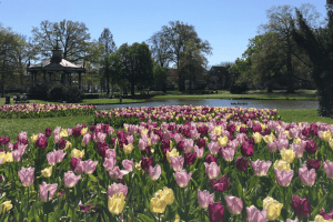 Peiling de Parken: 3 alternatieven voor aardgas
