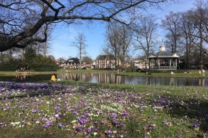 De bewoners van De Parken hebben gestemd