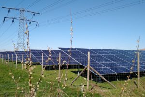 Zonneparken, wat doet deA en wat niet?