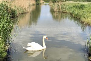 Ontdek fietsend duurzaam Apeldoorn