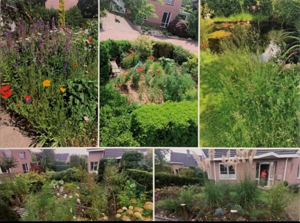 Homerusstraat 41 meest natuur- en klimaat vriendelijke tuin van Apeldoorn