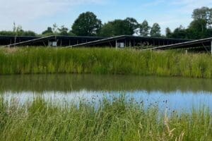 In het Gelderse Klarenbeek profiteren omwonenden en de natuur van het zonnepark