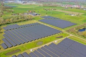 2023: Planten, dieren, schapen en diefstal