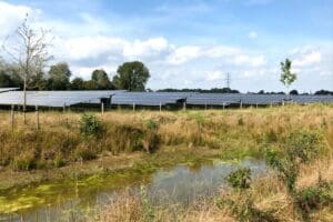 Buizerd verhuisd en eerste uitkeringen omgevingsfonds