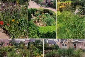 Tuin in de kijker