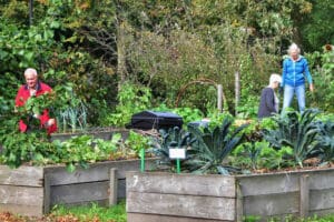 Renovatie moestuinbakken Buurttuin de Heeze 