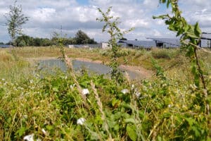 deA luidt noodklok over situatie zonneparken