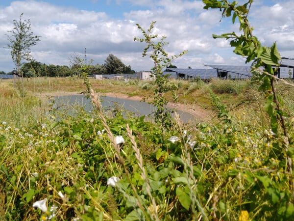 deA luidt noodklok over situatie zonneparken