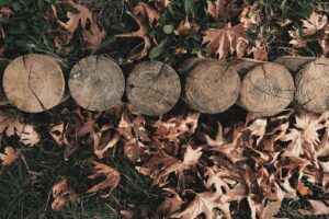 Veluwse Tuin