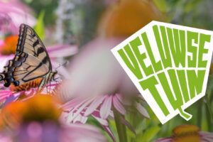 Veluwse Tuin helpt Apeldoorners groen en klimaatbestendig tuinieren