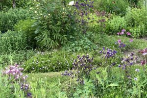 Veluwse Tuin