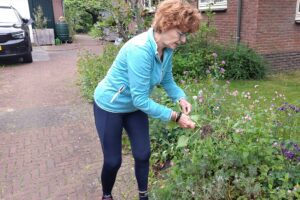 Biodiverse tuin vol leven van Tienke Koning